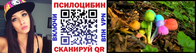Псилоцибиновые грибы GOLDEN TEACHER  Сертолово 